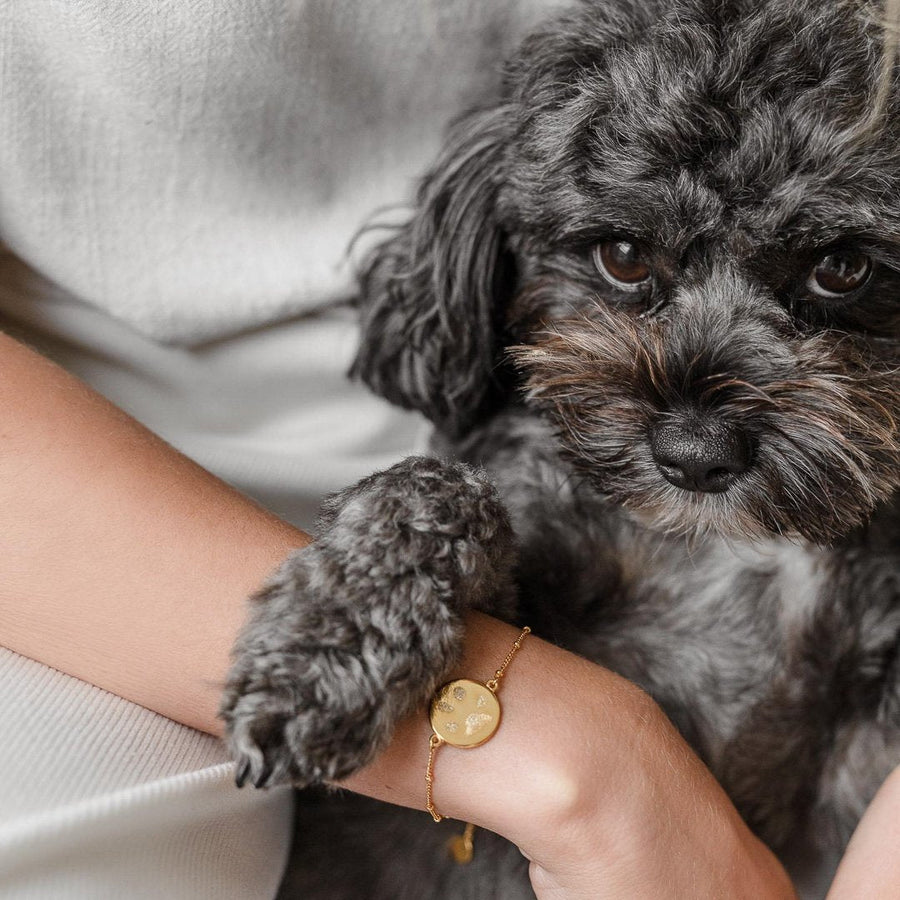 The Double Sided Paw Print Bracelet | Bobble Chain