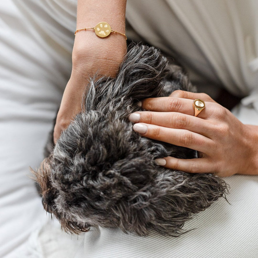 The Paw Print Bracelet / Bobble Chain