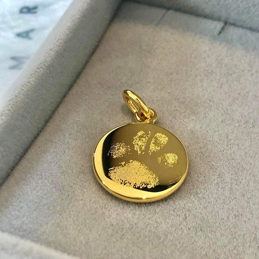 The Paw Print Pendant